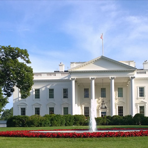 Real Housewives of the West Wing